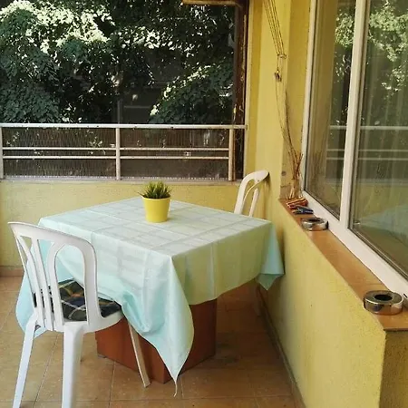 Apartament Central *